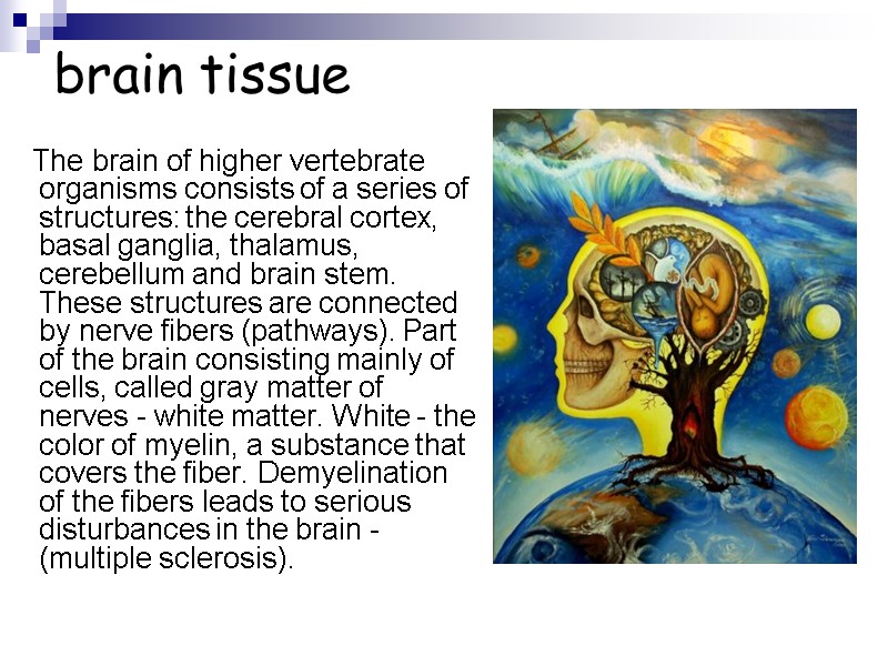 brain tissue     The brain of higher vertebrate organisms consists of